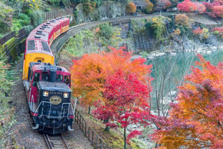 「提供：嵯峨野観光鉄道」さんからの投稿写真＠嵯峨野トロッコ列車