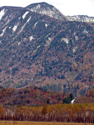 「栃木の山ちゃん」さんからの投稿写真＠栃木県日光市