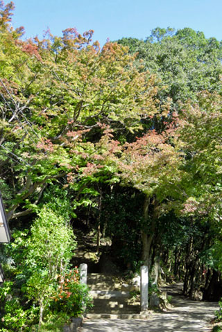 「栃木の山ちゃん」さんからの投稿写真＠西明寺(栃木県益子町)