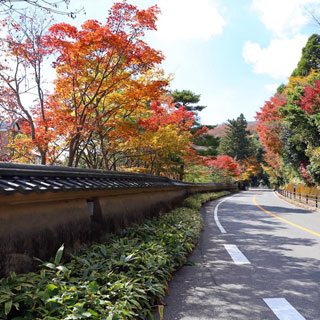 「スペック」さんからの投稿写真＠雲仙