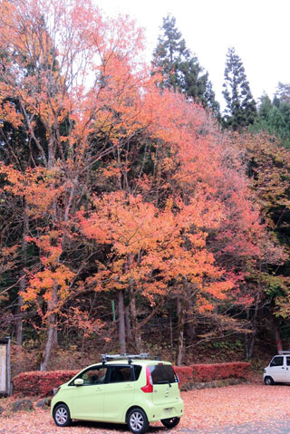 「栃木の山ちゃん」さんからの投稿写真@日光市清滝安良沢町(栃木)
