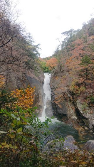 「写楽」さんからの投稿写真＠久良岐公園（神奈川）