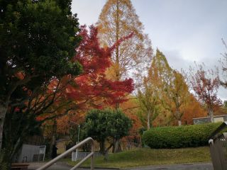 「写楽」さんからの投稿写真＠久良岐公園（神奈川）