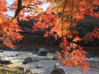 「写楽」さんからの投稿写真＠久良岐公園（神奈川）