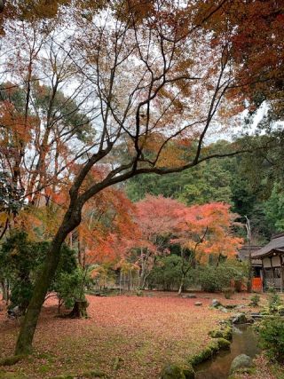 「写楽」さんからの投稿写真＠久良岐公園（神奈川）