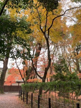 「写楽」さんからの投稿写真＠四季の森公園（神奈川）