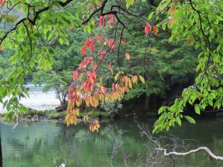 「写楽」さんからの投稿写真＠久良岐公園（神奈川）