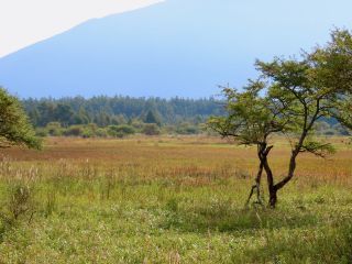 「栃木の山ちゃん」さんからの投稿写真＠栃木県日光市