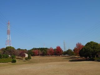 「ハッピー」さんからの投稿写真＠大府市みどり公園