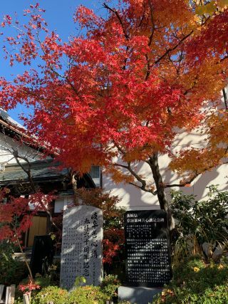 「すみっこ」さんからの投稿写真＠善光寺