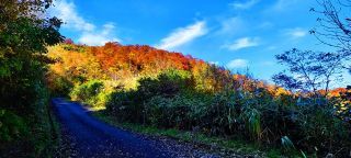 「kochan1960」さんからの投稿写真＠牛岳