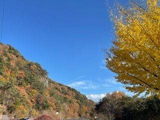 「yappy」さんからの投稿写真＠富士山と西湖