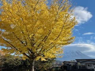 「yappy」さんからの投稿写真＠富士山と西湖