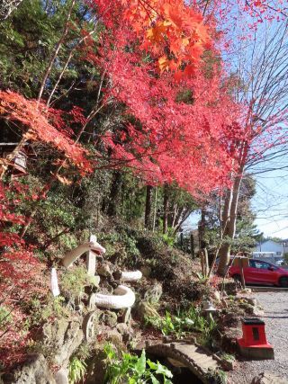 「栃木の山ちゃん」さんからの投稿写真＠出流原弁天池