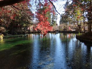 「栃木の山ちゃん」さんからの投稿写真＠出流原弁天池