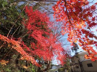 「栃木の山ちゃん」さんからの投稿写真＠出流原弁天池