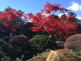「にゃん」さんからの投稿写真＠日光山輪王寺逍遥園（栃木）
