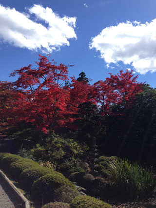 「にゃん」さんからの投稿写真＠日光山輪王寺逍遥園（栃木）