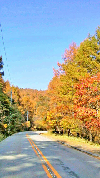 「ＴＡＩＺＯ」さんからの投稿写真＠八ヶ岳高原道路（山梨）