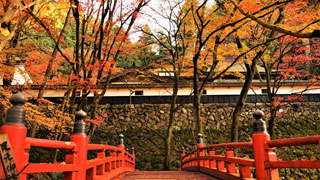 「のりさん」さんからの投稿写真＠横蔵寺
