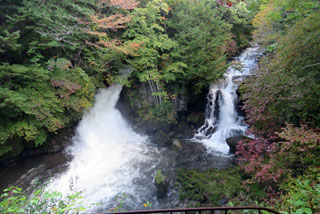 「栃木の山ちゃん」さんからの投稿写真