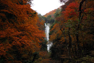「ヒューマン」さんからの投稿写真＠名勝神庭の滝