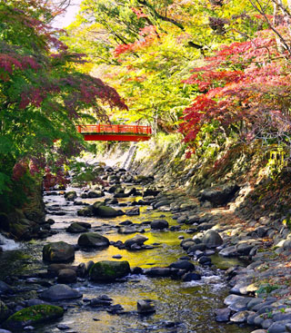 「yutorian」さんからの投稿写真＠修善寺温泉 竹林の小径
