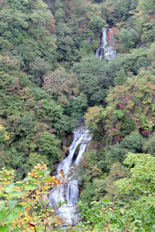 「栃木の山ちゃん」さんからの投稿写真