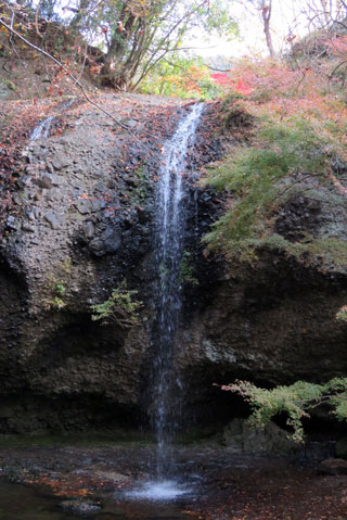 「栃木の山ちゃん」さんからの投稿写真