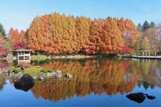 「栃木の山ちゃん」さんからの投稿写真