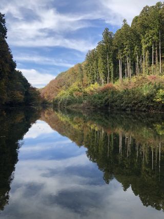 「まりちゃん」さんからの投稿写真