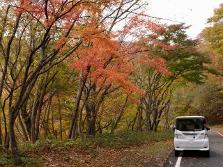 「栃木の山ちゃん」さんからの投稿写真