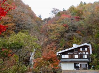 「栃木の山ちゃん」さんからの投稿写真＠日塩もみじライン