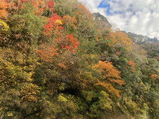 「K.M」さんからの投稿写真＠養老渓谷