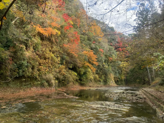 「K.M」さんからの投稿写真＠養老渓谷