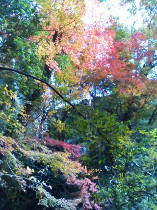 「ちぃ」さんからの投稿写真