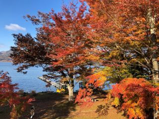 「ハイビスカス」さんからの投稿写真