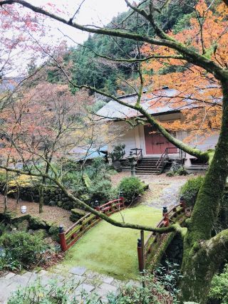 「はるるん」さんからの投稿写真