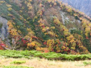 「Autumn leaves hunter2025」さんからの投稿写真＠八方尾根