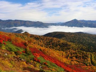「Autumn leaves hunter2026」さんからの投稿写真
