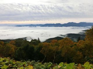 「Autumn leaves hunter2026」さんからの投稿写真＠大雪山国立公園