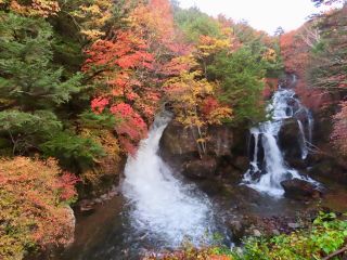 「栃木の山ちゃん」さんからの投稿写真