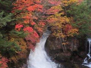 「栃木の山ちゃん」さんからの投稿写真