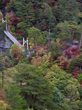 「栃木の山ちゃん」さんからの投稿写真