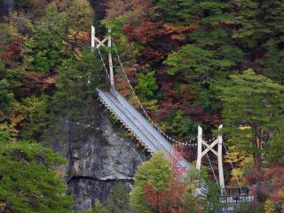 「栃木の山ちゃん」さんからの投稿写真