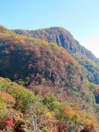 「栃木の山ちゃん」さんからの投稿写真