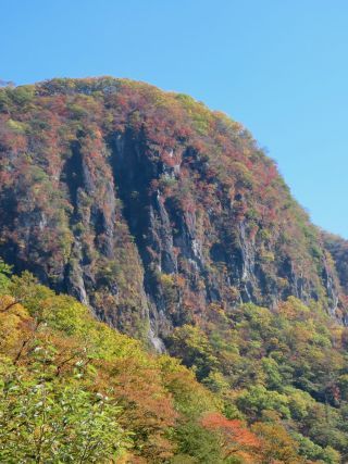 「栃木の山ちゃん」さんからの投稿写真＠いろは坂