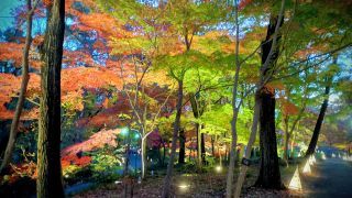 「あつし」さんからの投稿写真＠国営武蔵丘陵森林公園