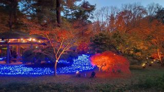 「あつし」さんからの投稿写真＠国営武蔵丘陵森林公園