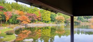 「あつし」さんからの投稿写真＠国営昭和記念公園